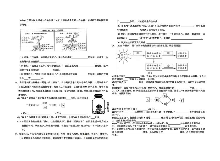 绿色植物的生理过程[精选文档].doc_第2页