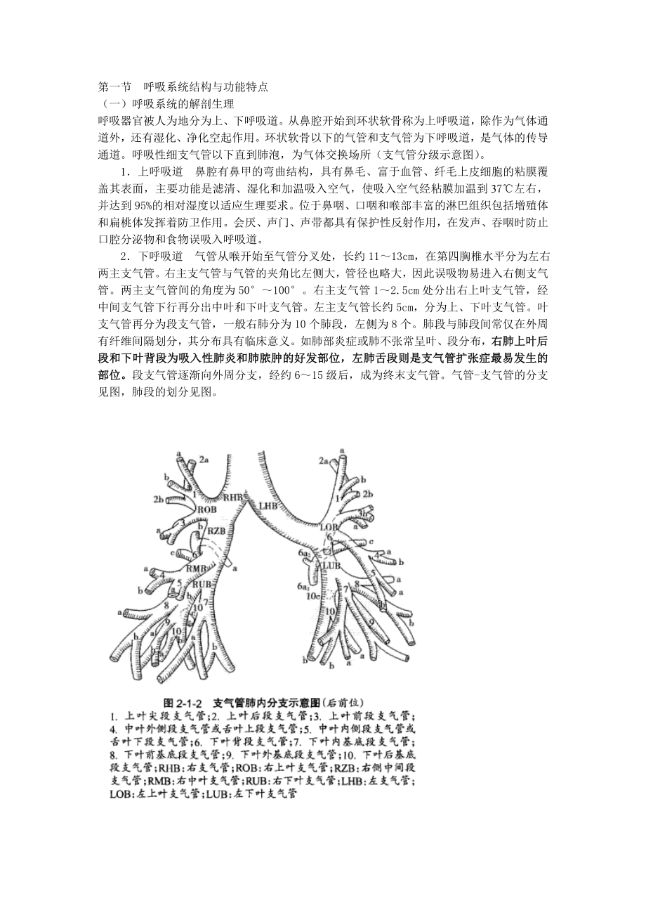 最新呼吸系统结构与功能特点汇编.doc_第1页