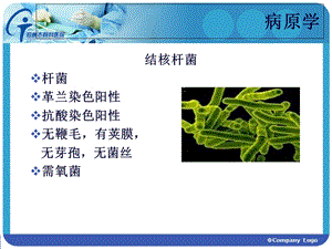 脊柱结核文档资料.ppt