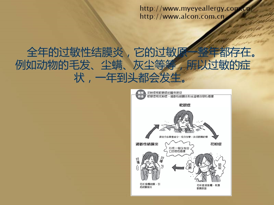 医学课件眼痒眼红不要揉.ppt_第3页