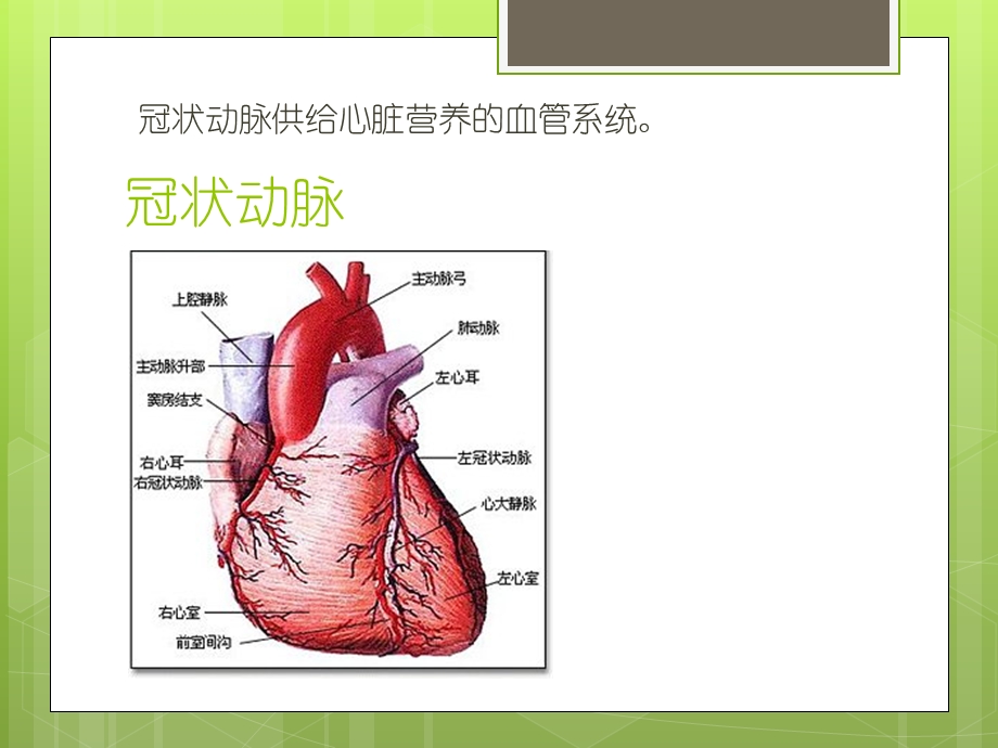 冠心病PPT名师编辑PPT课件.ppt_第2页