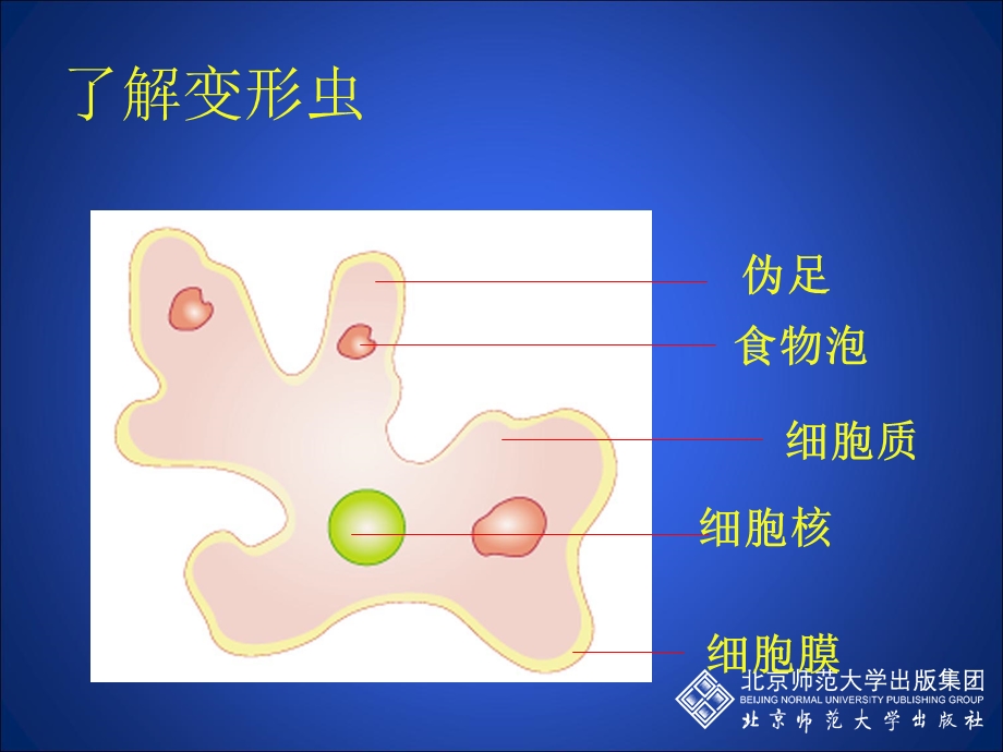 3.2细胞是生命活动的单位一[精选文档].ppt_第3页