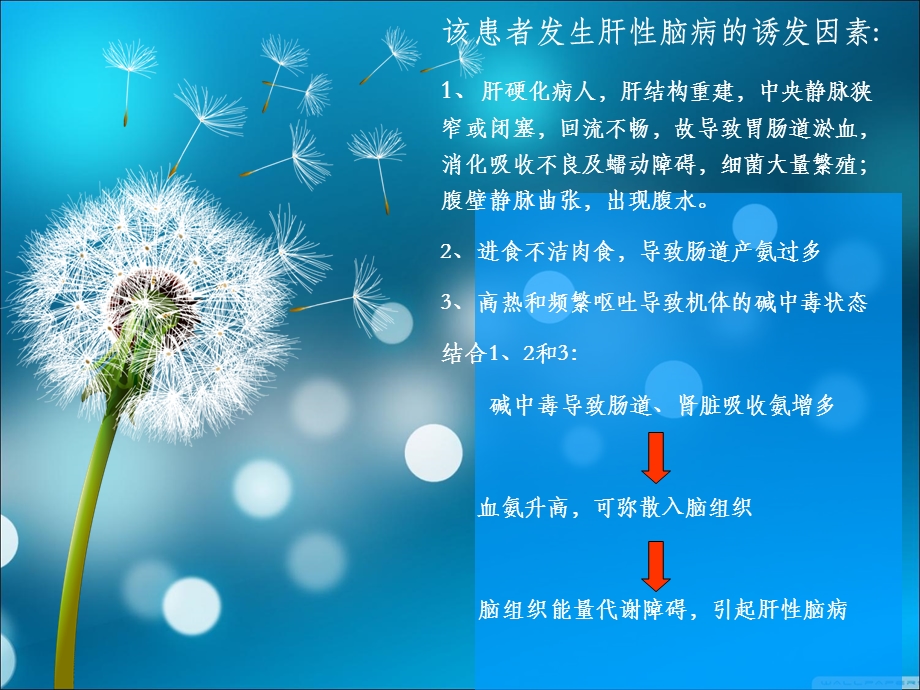 PBL肝性脑病 肝硬化PPT文档.ppt_第1页