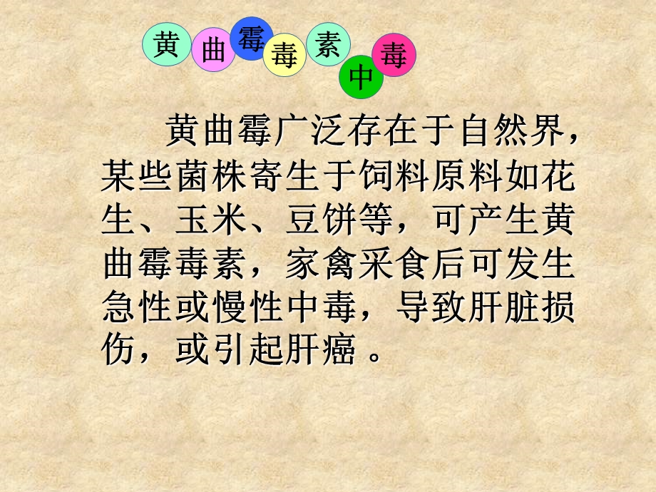 医学课件禽病学禽病临床诊断彩色图谱黄曲霉毒素中毒西南民族大学.ppt_第2页