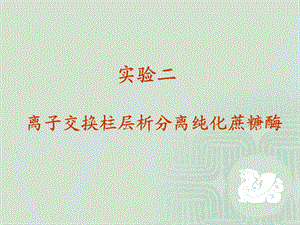 医学课件离子交换柱层析分离纯化蔗糖酶.ppt