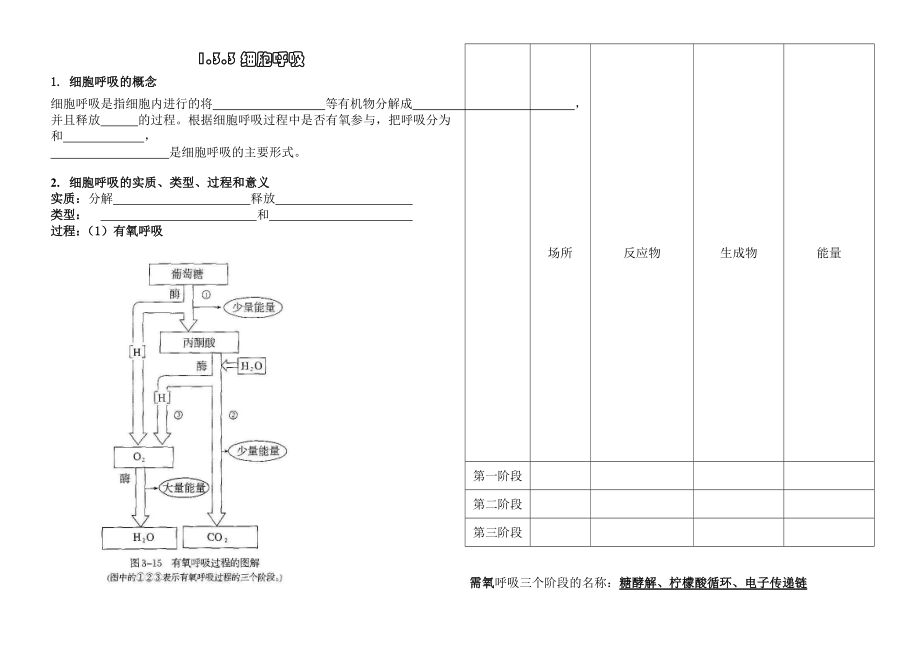 最新1.3.3细胞呼吸名师精心制作资料.doc_第1页