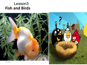 三年级下册英语课件－Lesson 3 Fish and Birds｜冀教版三起(共8张PPT).ppt