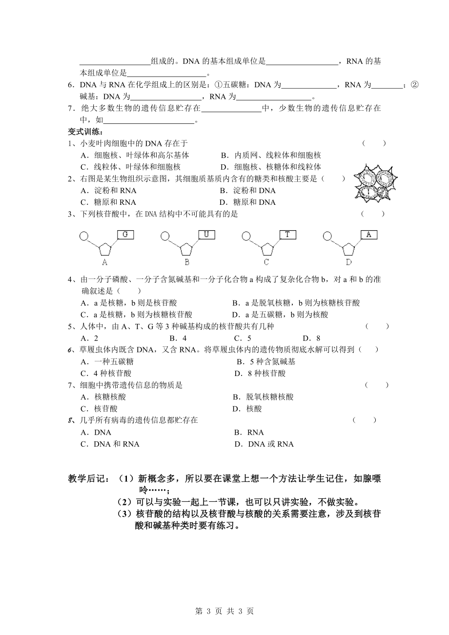 2.3遗传信息的携带者—核酸教学设计孔庆敏[精选文档].doc_第3页