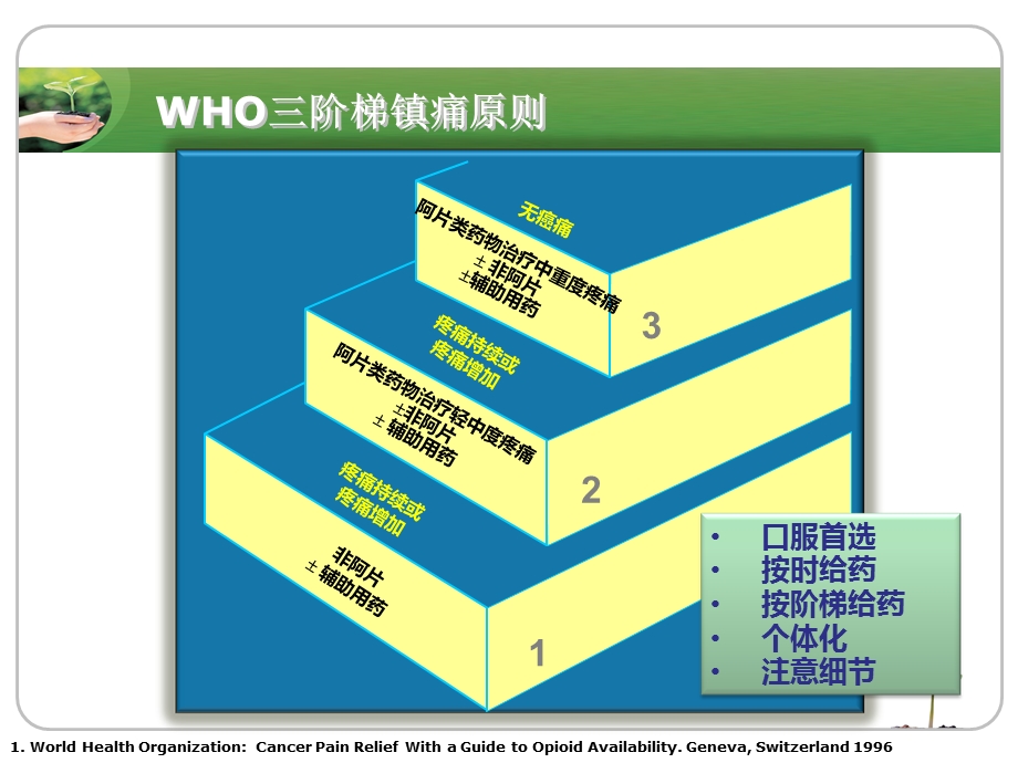 3.中度疼痛起始强阿片类药物应用精选文档文档资料.ppt_第3页