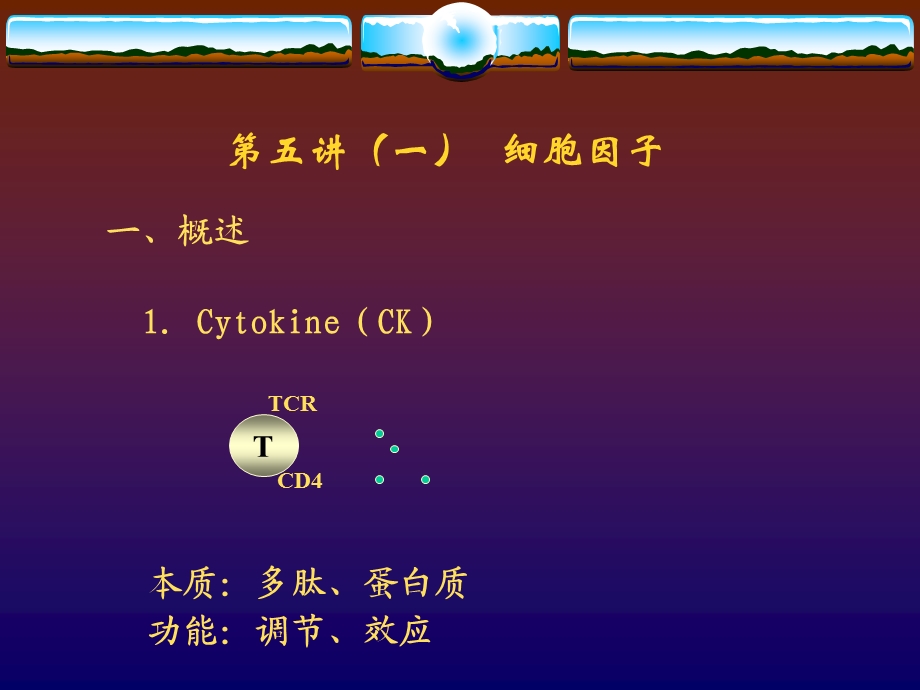 医学课件第五讲一细胞因子.ppt_第1页