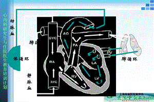 BBlocker基础和临床PPT文档.ppt