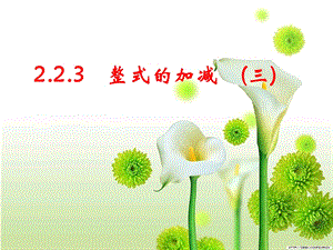 2.2.3整式的加减3[精选文档].ppt