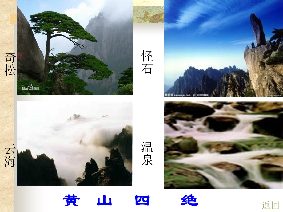 《黄山奇松》教学课件.ppt_第2页