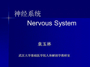 医学课件神经系统药学(龚).ppt