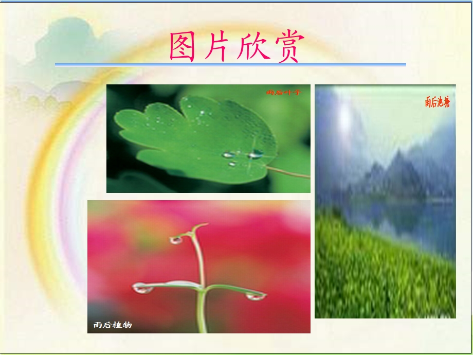 《雨后》教学课件(1).ppt_第2页