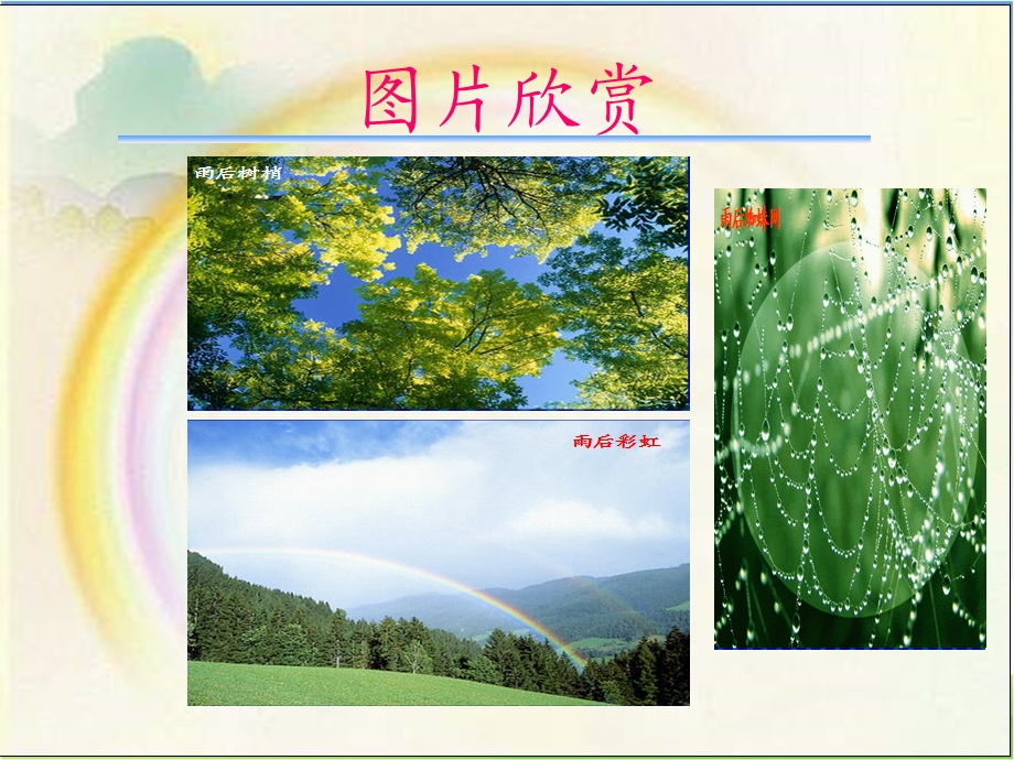 《雨后》教学课件(1).ppt_第3页