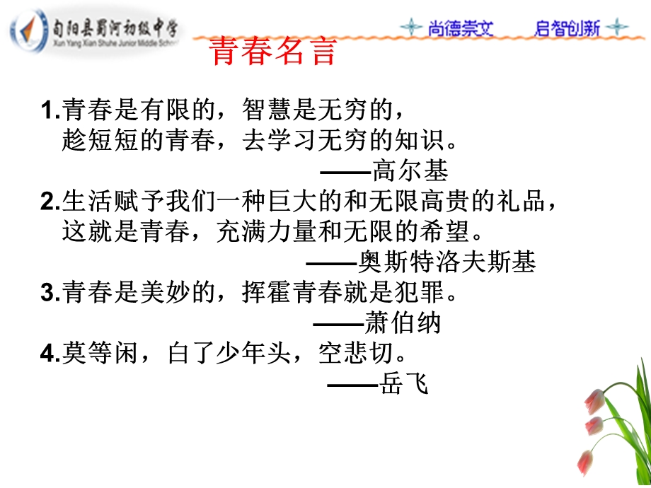 《青春随想》综合性学习.ppt_第3页