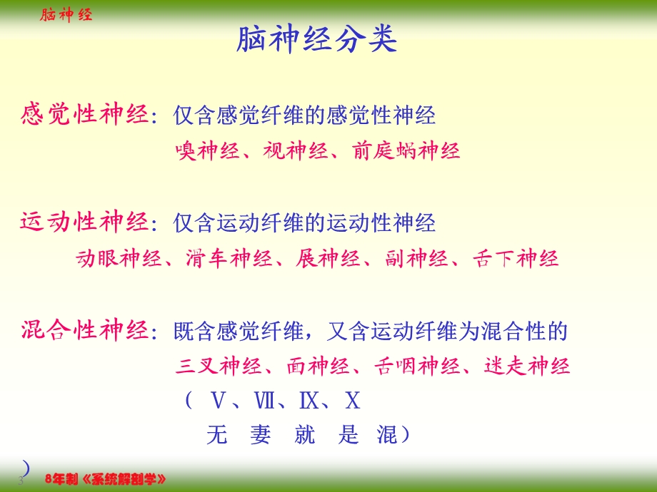 F、脑神经课件精选文档.ppt_第3页