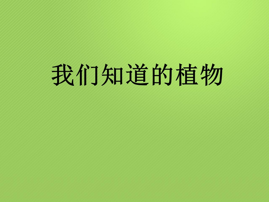 一年级上册科学课件1.1我们知道的植物 4l教科版 (共13张PPT)教学文档.ppt_第1页