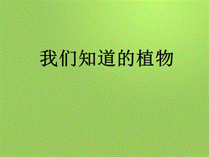 一年级上册科学课件1.1我们知道的植物 4l教科版 (共13张PPT)教学文档.ppt