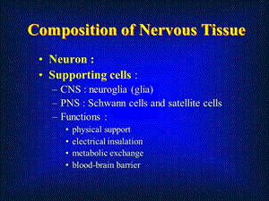 医学课件神经元和神经胶质细胞胶质细胞.ppt