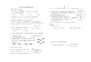 最新七年级下学期期末复习测试卷汇编.doc