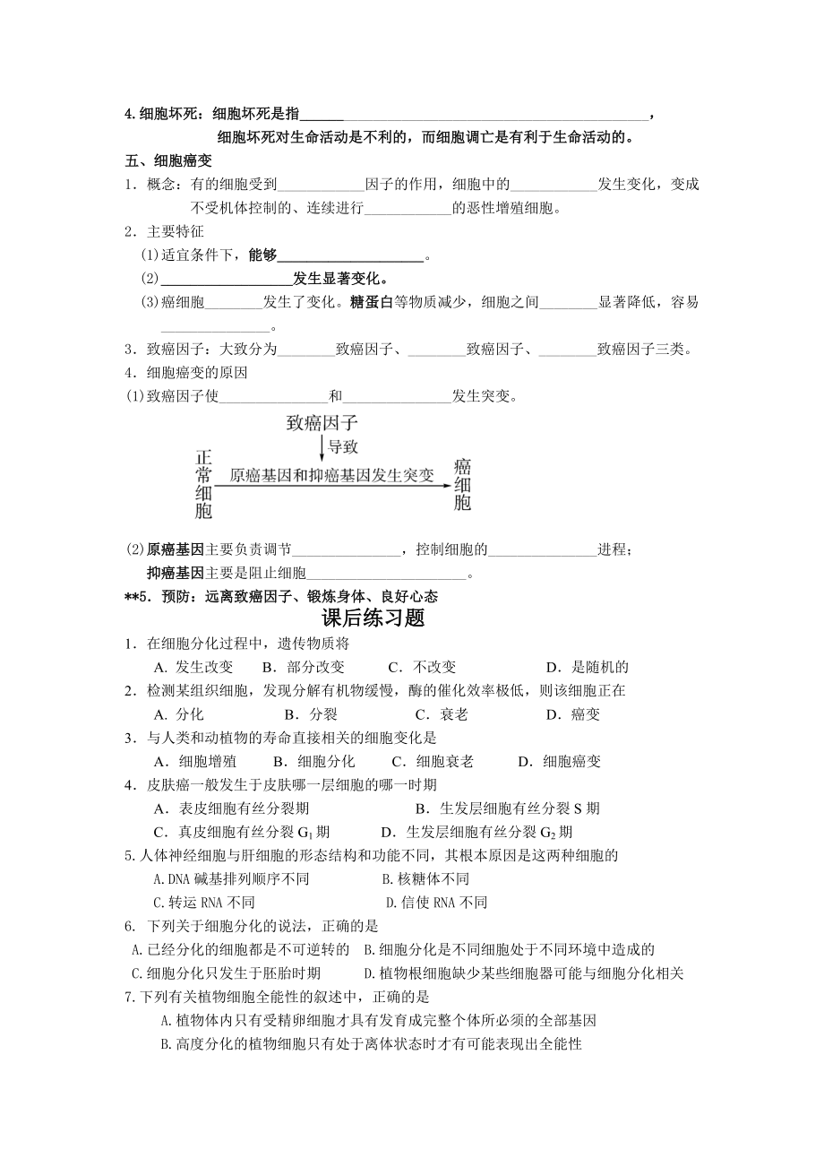 最新6.2细胞的分化、衰老、调亡和癌变学案1汇编.doc_第2页