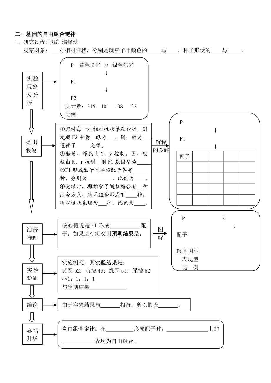 最新必修二遗传与变异学案101201汇编.doc_第3页