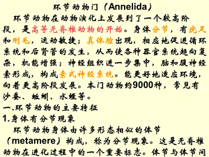 医学课件真体腔出现相应地促进.ppt