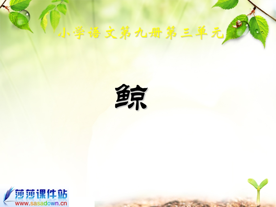 《鲸》课件[1] (2).ppt_第1页