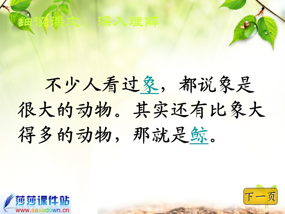 《鲸》课件[1] (2).ppt_第2页