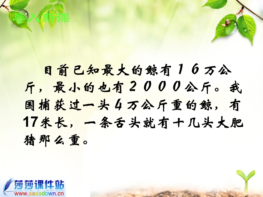 《鲸》课件[1] (2).ppt_第3页