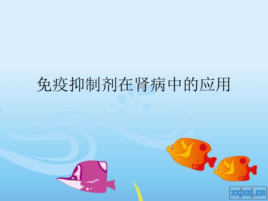 免疫抑制剂在肾病中的应用名师编辑PPT课件.ppt_第1页