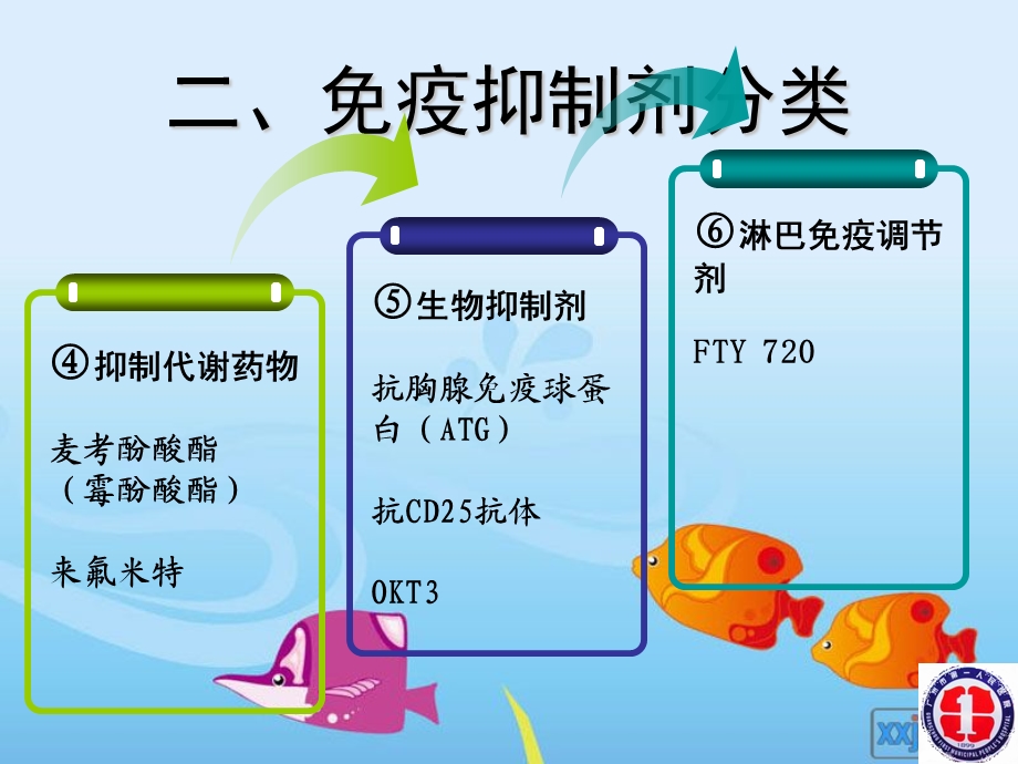 免疫抑制剂在肾病中的应用名师编辑PPT课件.ppt_第3页