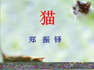 17课猫[精选文档].ppt