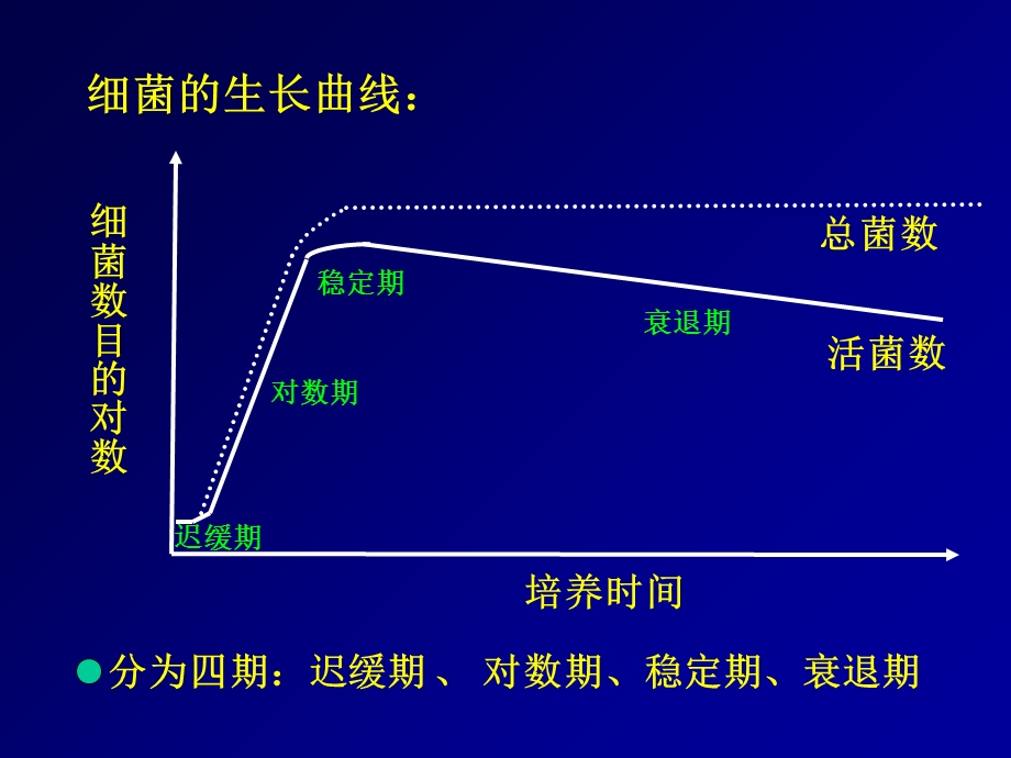 2细菌生长繁殖护理文档资料精选文档.ppt_第3页