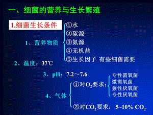 2细菌生长繁殖护理文档资料精选文档.ppt