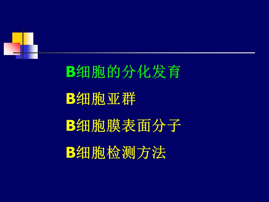 B细胞发育文档资料.ppt_第2页