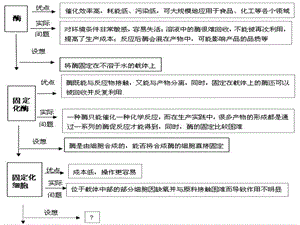 43酵母细胞的固定化课件文档资料.ppt