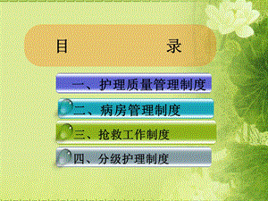 118—护理核心制度文档资料.ppt