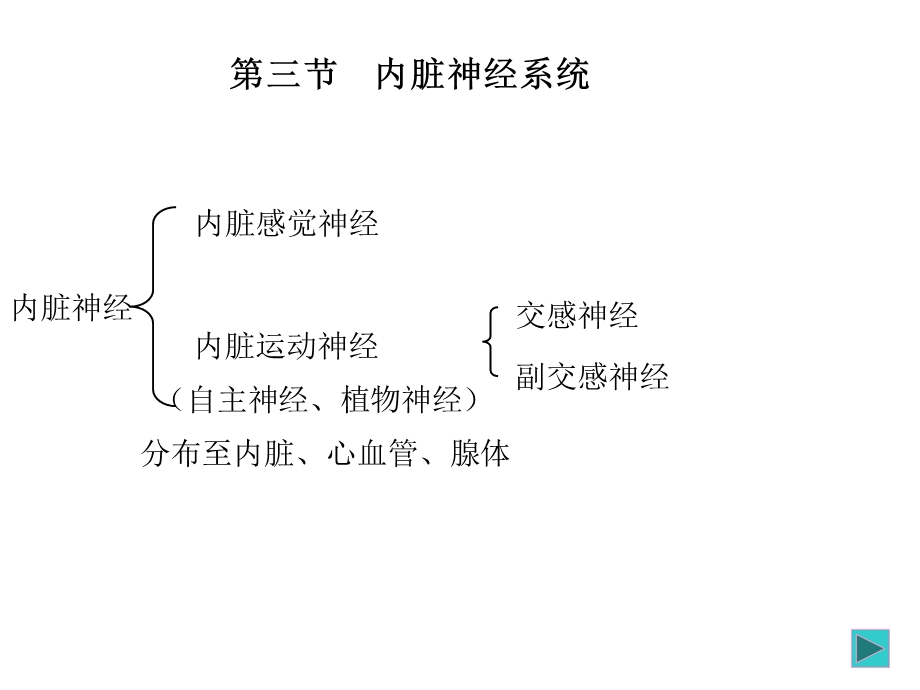 18内脏神经系统PPT文档.ppt_第1页