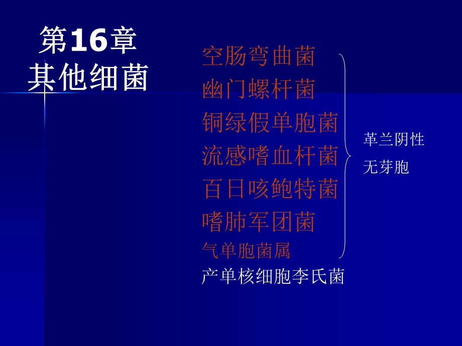 医学课件第16章其他细菌.ppt_第1页