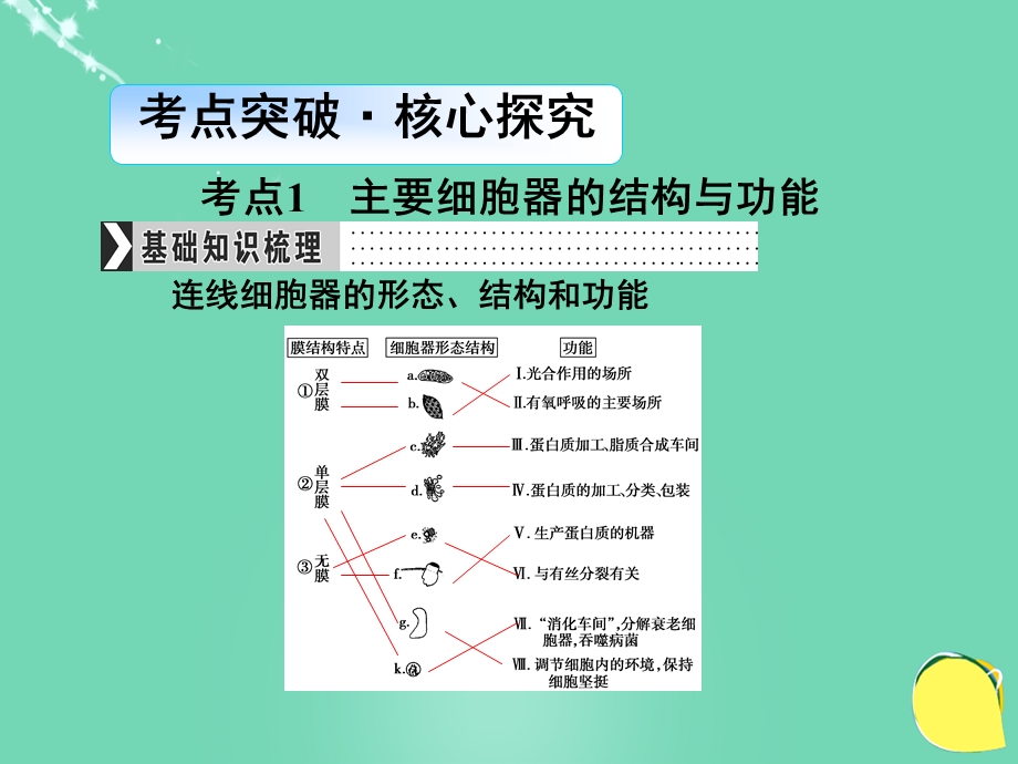 高考生物一轮复习第2单元细胞的结构、物质的输入与输出第2讲细胞器系统内的分工合作课件文档资料.ppt_第2页