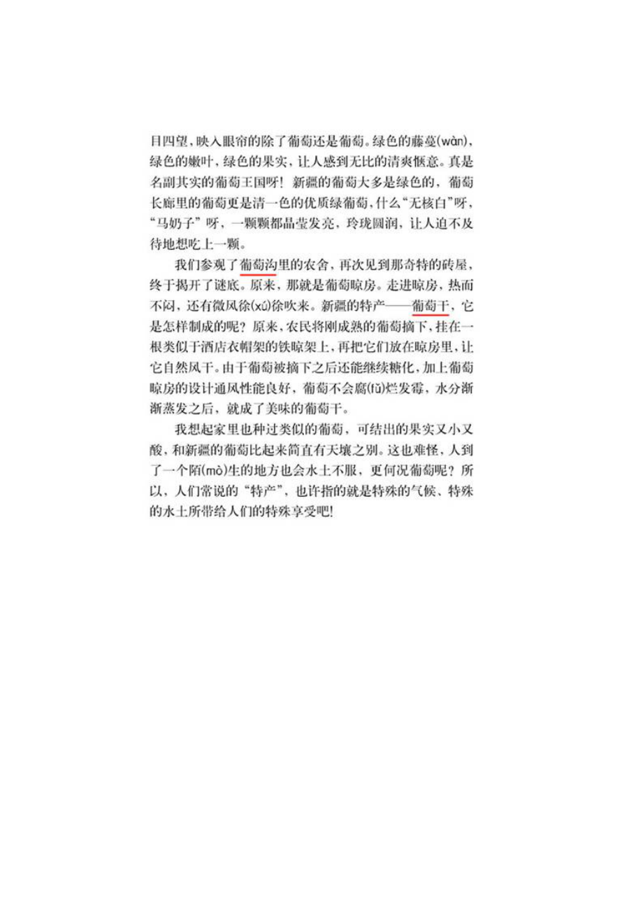 吐鲁番的葡萄沟 [精选文档].doc_第3页