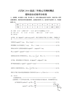 最新16元调物理评分标准(定稿)汇编.doc