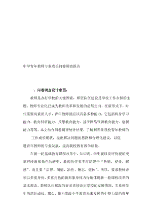 中学青年教师专业成长问卷调查报告名师制作精品教学资料.doc