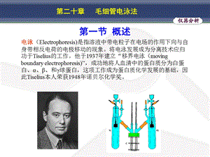 医学课件第二十章毛细管电泳法.ppt