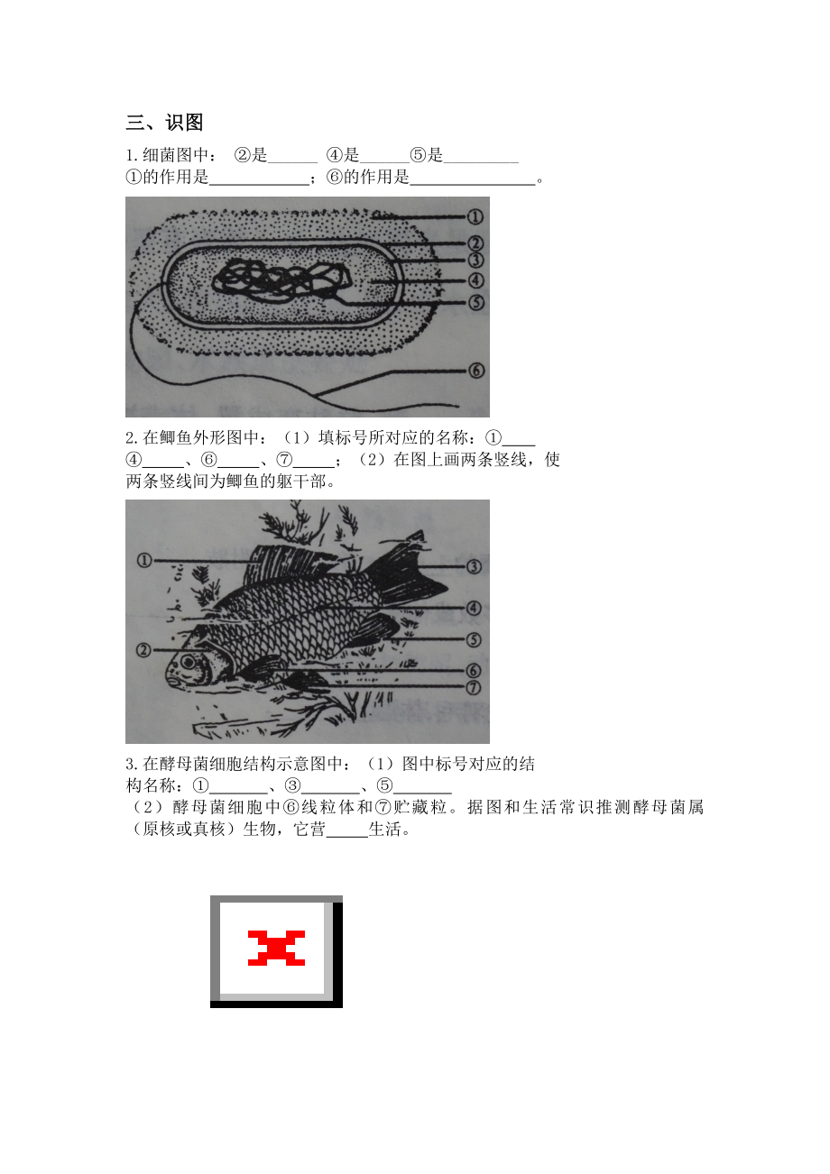 最新复件试题摘录八年级上汇编.doc_第1页