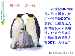 123生物圈是最大的生态系统[精选文档].ppt