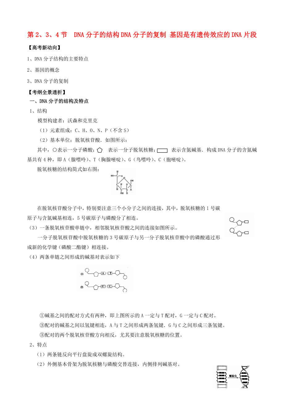 最新3.4基因是有遗传效应的DNA片段学案3汇编.doc_第1页